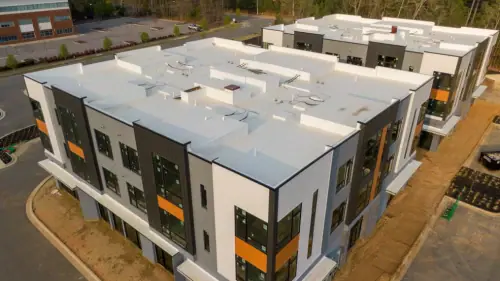 Drone Surveys